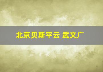 北京贝斯平云 武文广